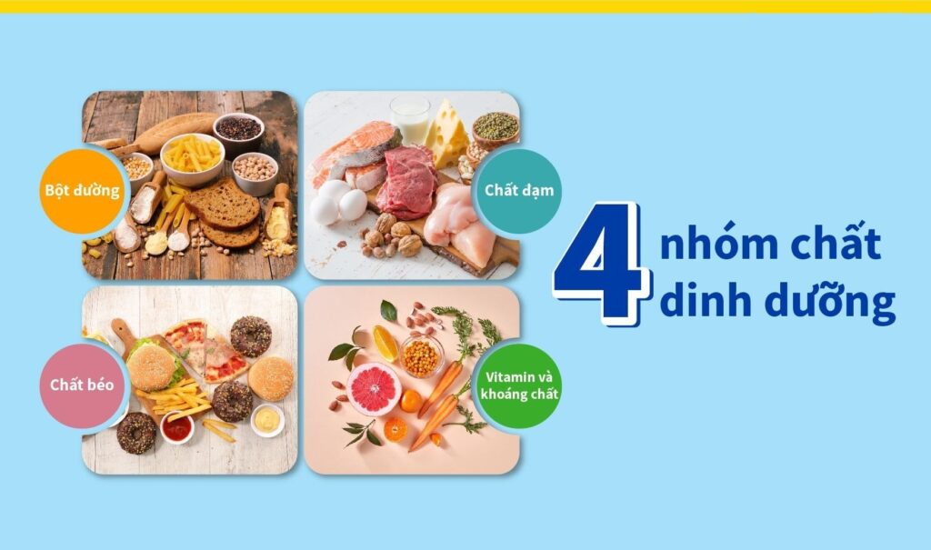 Mẹ bỉm hãy bổ sung cho cơ thể đầy đủ 4 nhóm dưỡng chất quan trọng hàng ngày