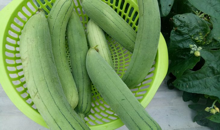 những loại rau tốt cho phụ nữ sau sinh